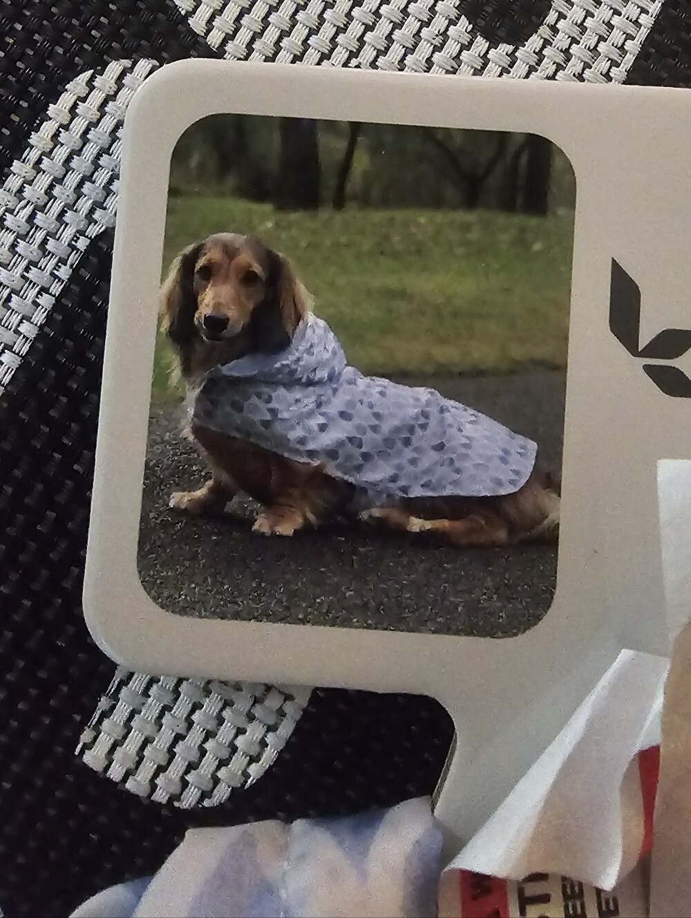 Nwt Dog Rain Jacket